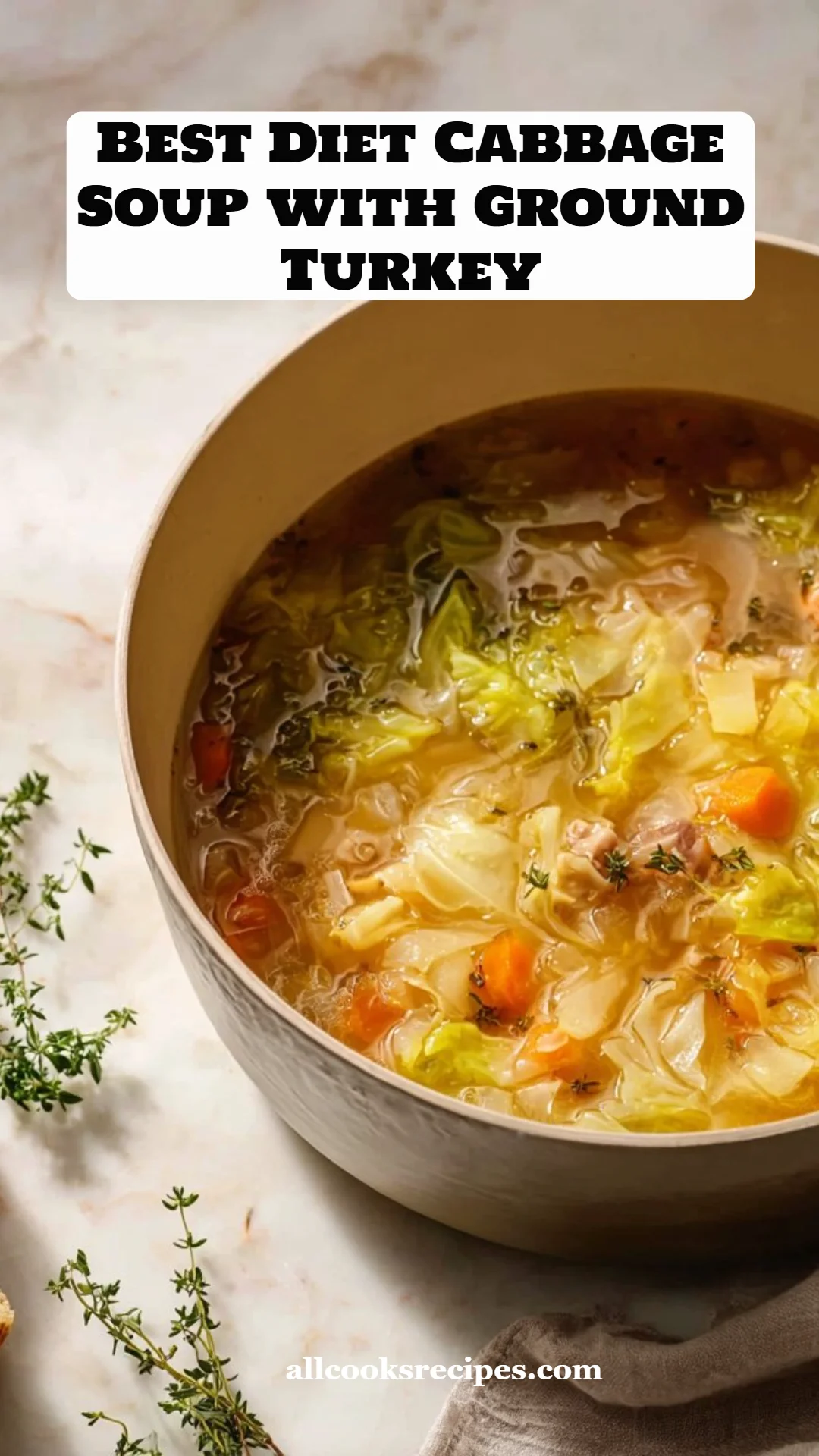 Best Diet Cabbage Soup with Ground Turkey