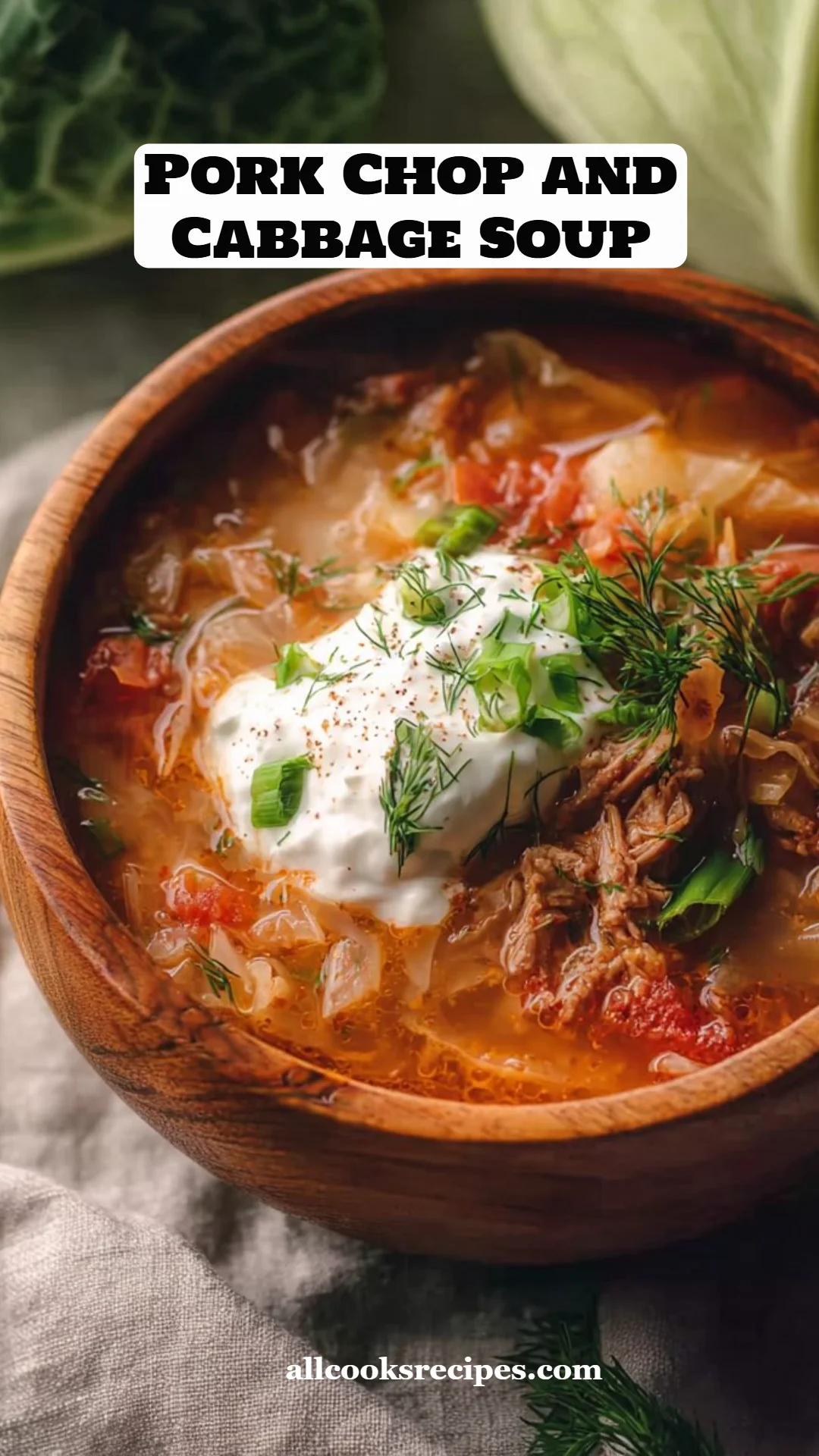Pork Chop and Cabbage Soup