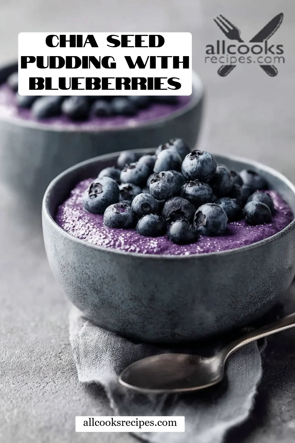 Chia Seed Pudding with Blueberries
