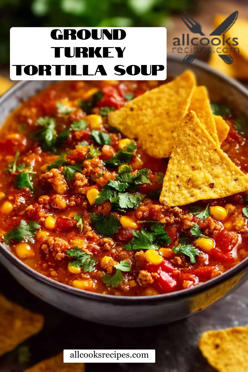 Ground Turkey Tortilla Soup