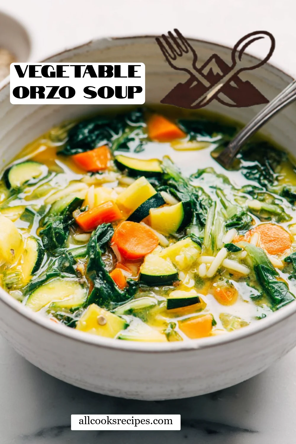 Vegetable Orzo Soup