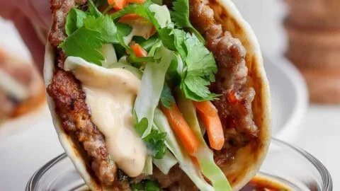 Smash Dumpling Tacos